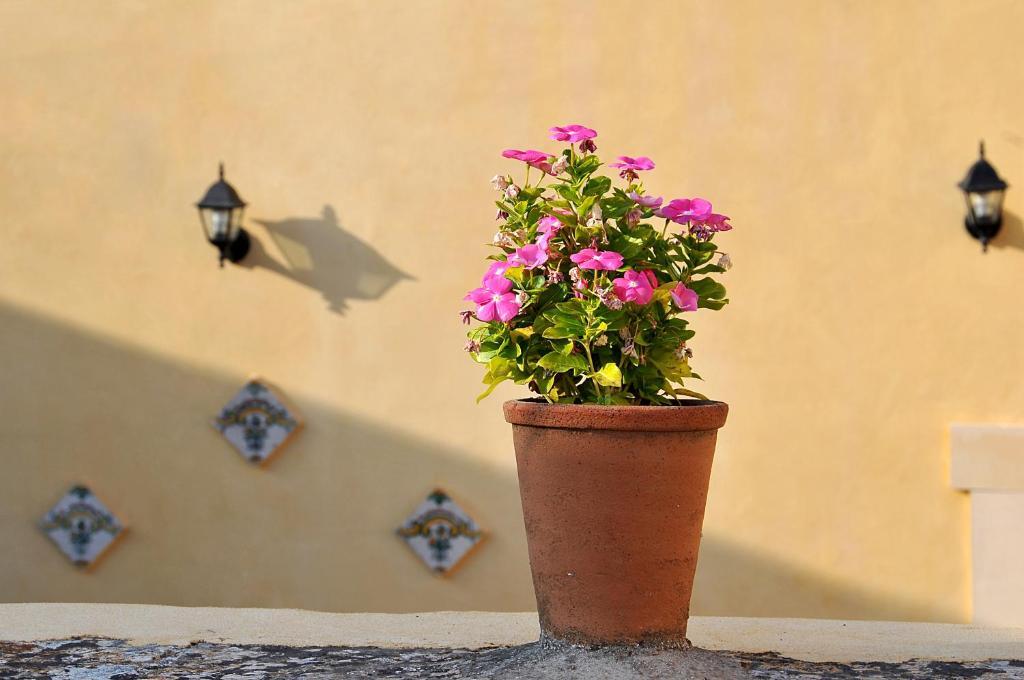 Il Giardino Del Barocco Bed & Breakfast Noto Exterior photo
